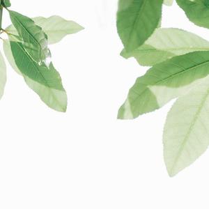 极乐之神漫画免费阅读看桐人
