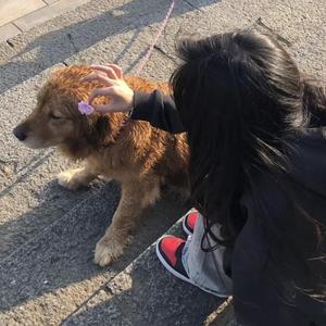 极乐之神漫画免费阅读看桐人
